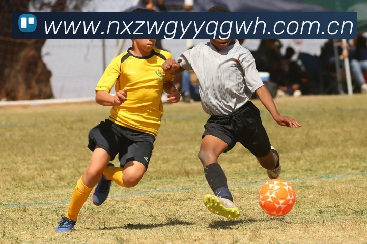 星空体育中国官方网站品牌故事